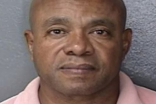 A prisión hombre que le disparó a un gato con una pistola de perdigones en Carolina