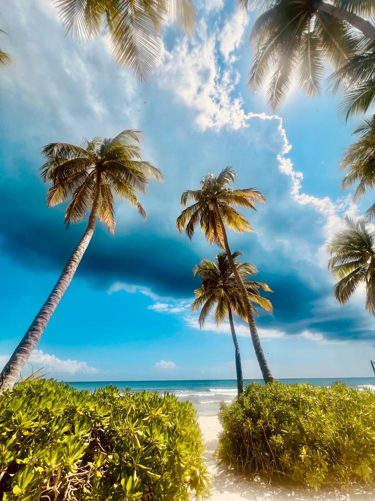 Isla Saona, República Dominicana