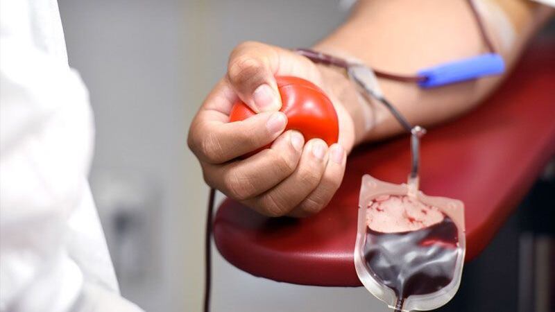 Salva tres vidas en menos de una hora.
Donar sangre es seguro, rápido y más importante de lo que imaginas.