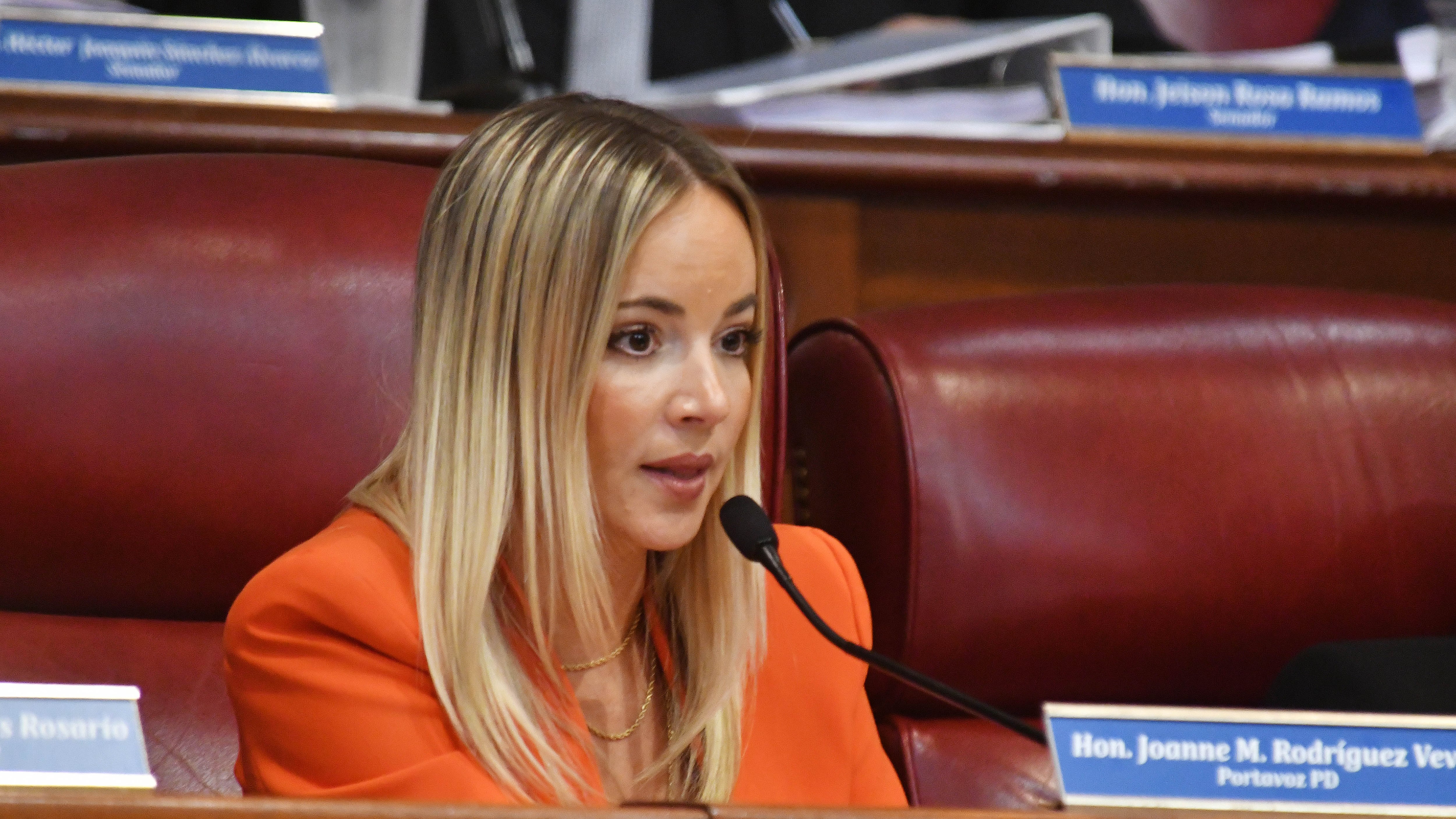 La Senadora Joanne Rodríguez Veve.