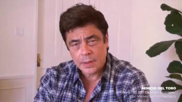 Benicio del Toro