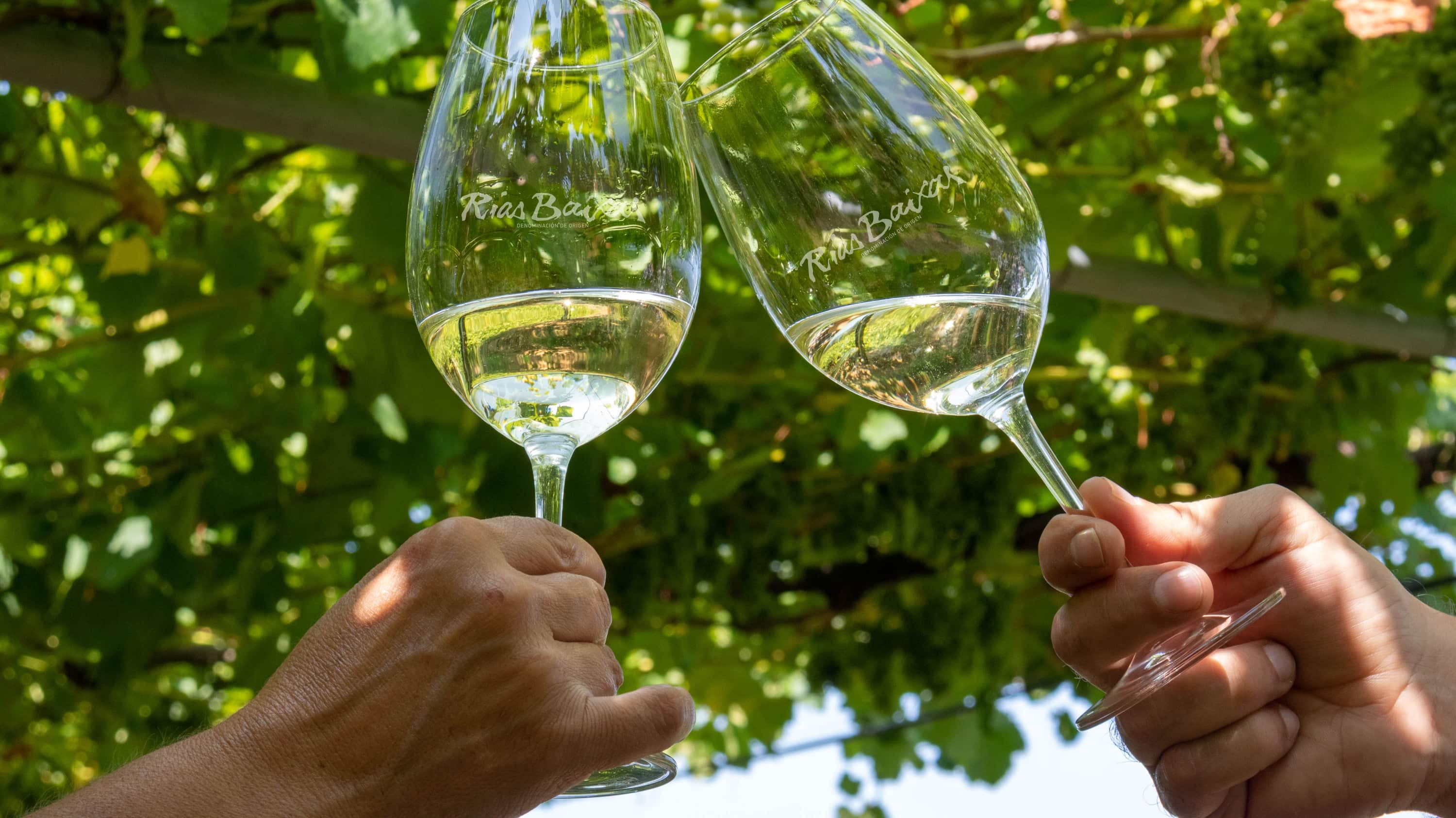 La Denominación de Origen Rias Baixas ha sido una pionera de la incorporación igualitaria de la mujer en la enología.