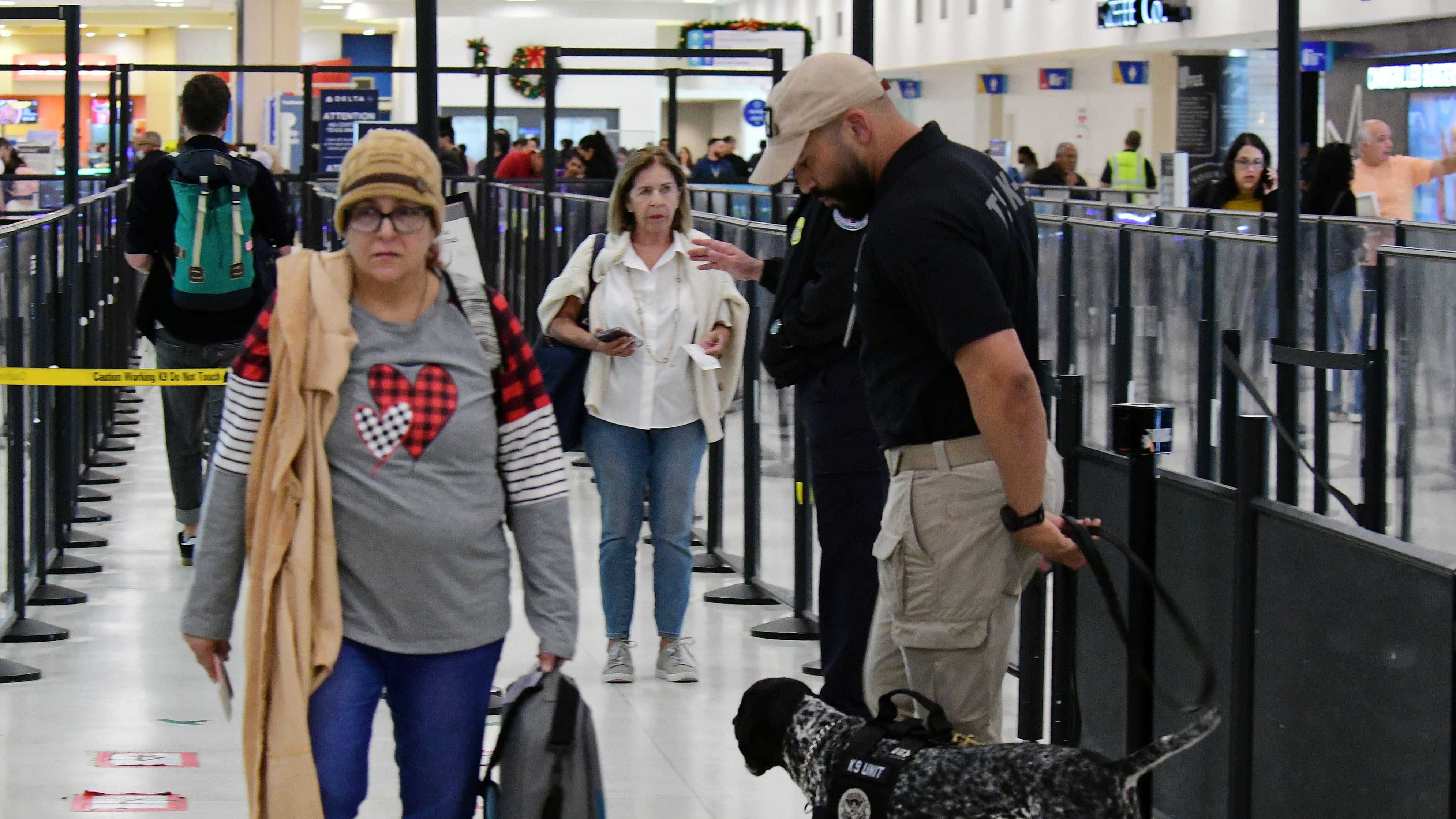 Punto de cotejo del TSA