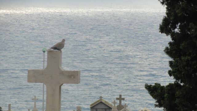 Cementerio a la orilla del mar