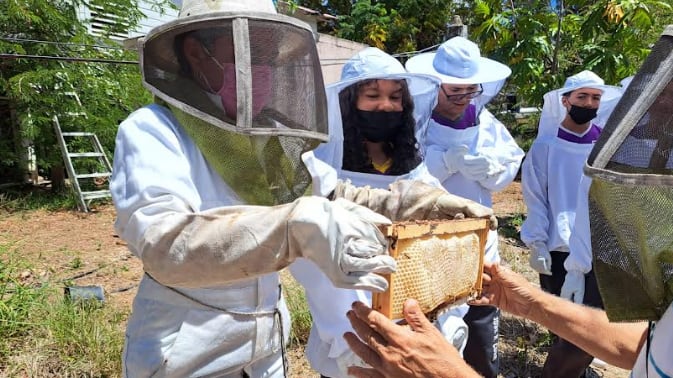 Estudiantes de Arroyo se encaminan hacia la apicultura.