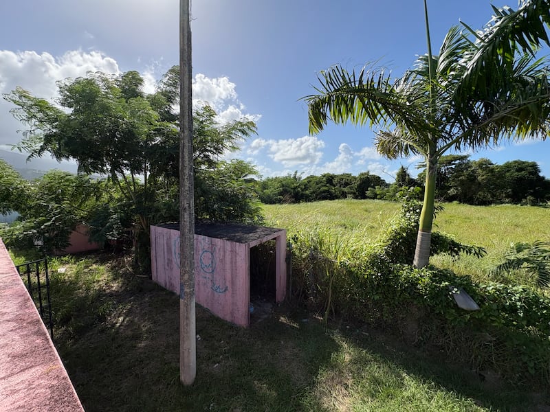 Maleza y áreas descuidadas se observan en el parque de pelota de Río Grande Estates IV.
Foto por José M. Encarnación Martínez