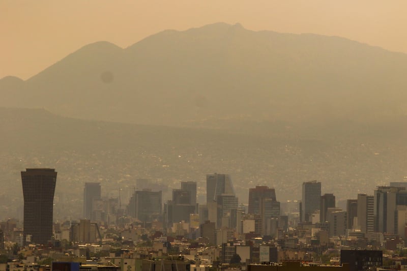 Ecoansiedad, padecimiento en crecimiento en las grandes ciudades