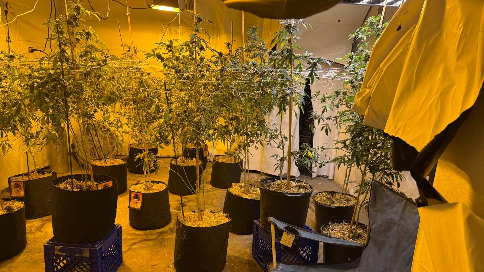 invernadero en residencia en Arecibo