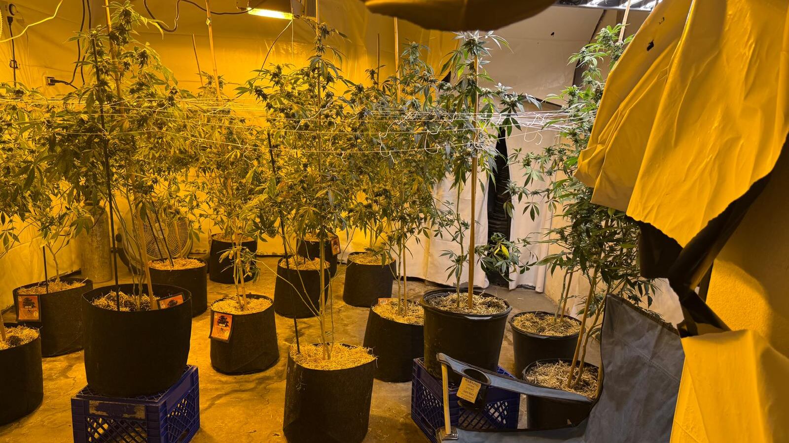 invernadero en residencia en Arecibo