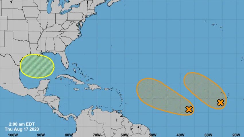 Vigilan sistemas con probabilidad de desarrollo.