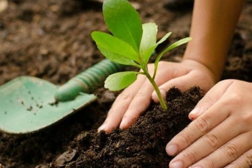 Siete acciones personales que pueden salvar el planeta desde hoy