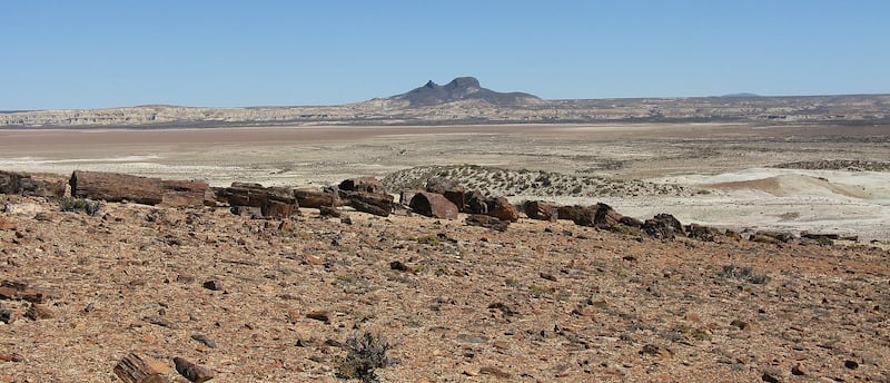 Un desierto es un paisaje bioclimático que puede ser cálido o helado y que se caracteriza por tener bajos índices de precipitación, un clima seco, temperaturas extremas y un suelo árido. Foto: Wikipedia.