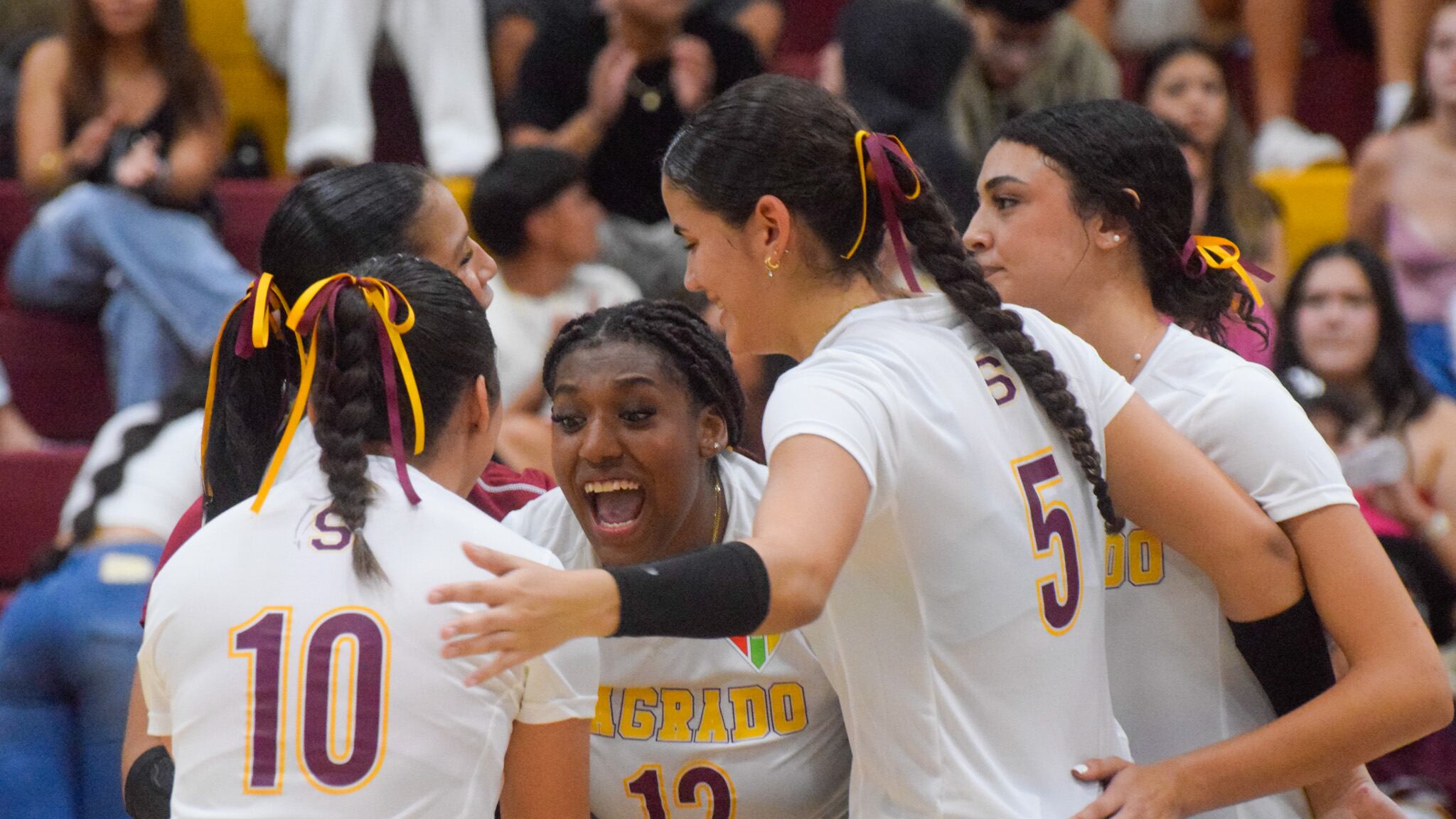 Resumen de la acción de la LAI