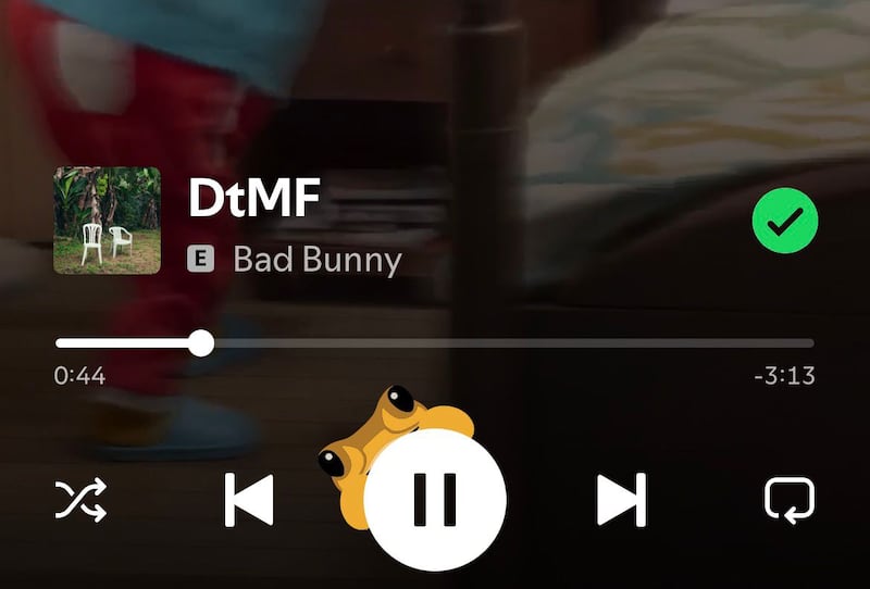 Debí tiras más fotos