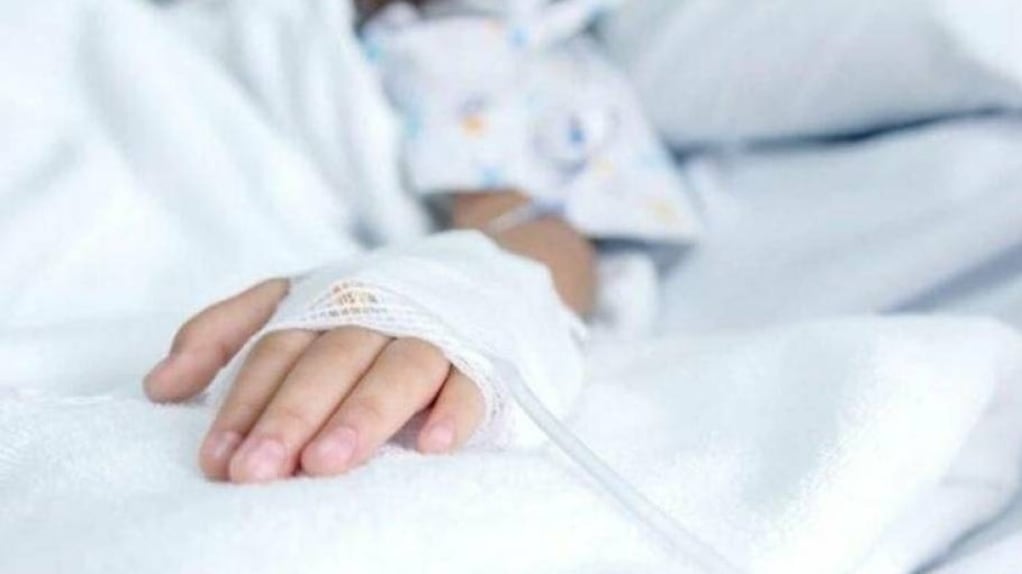 (Imagen de referencia)