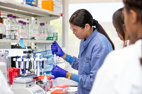 Puerto Rico será sede de programa nacional para maestros de ciencias y matemáticas