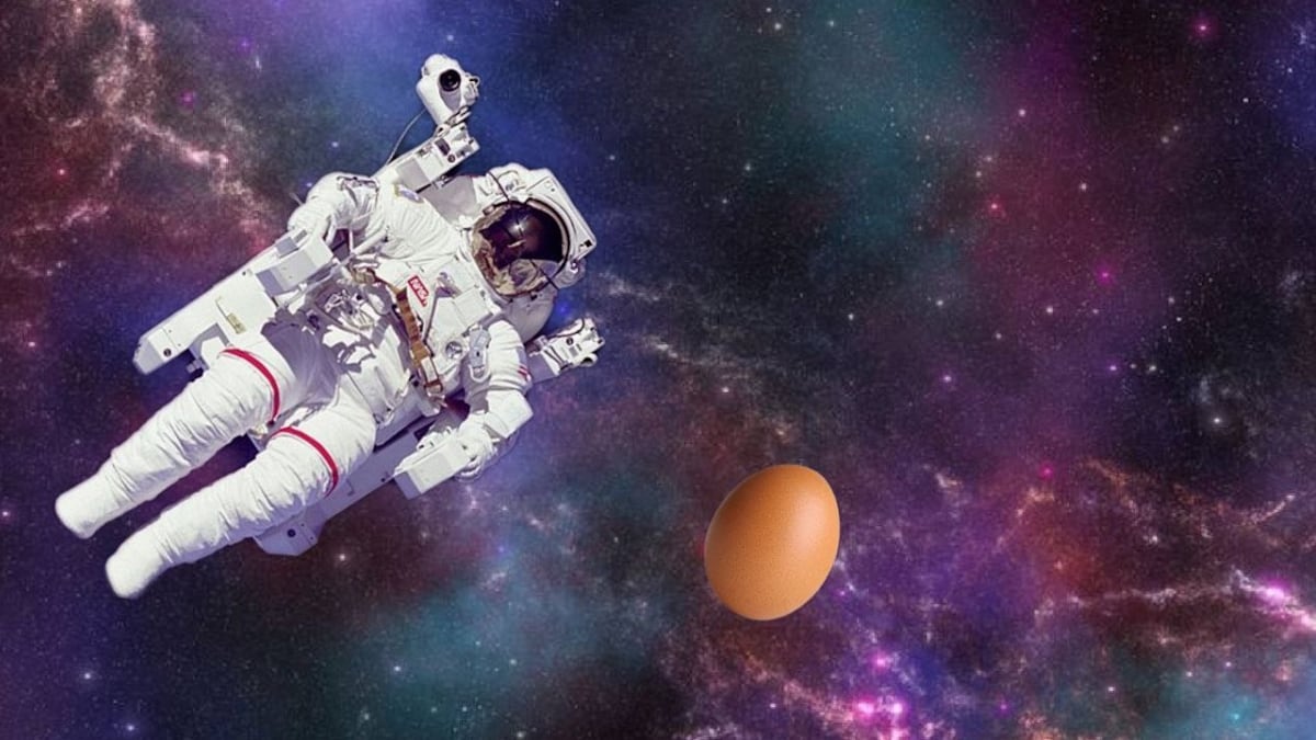 Huevo astronauta. Composición Alberto Sandoval.