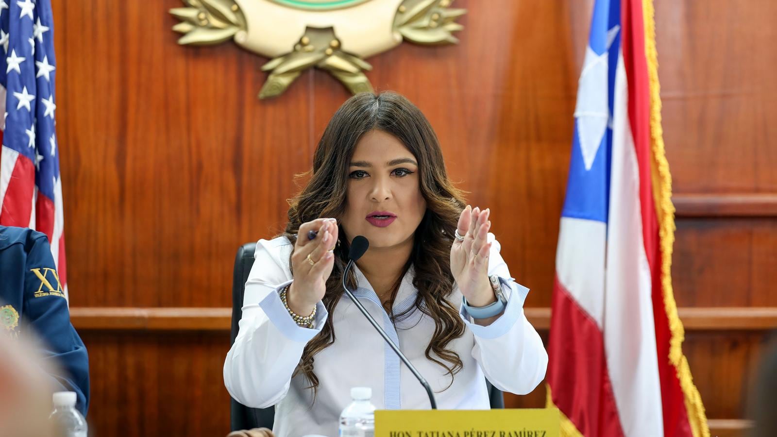 La representante por acumulación del Partido Nuevo Progresista, Tatiana Pérez Ramírez.