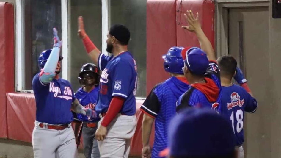 Maceteros de Vega Alta.