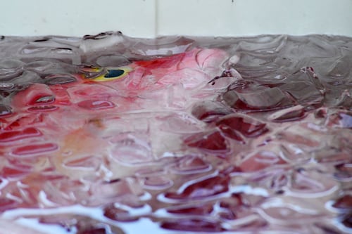 Mercado de mariscos y productos agrícolas en San Juan