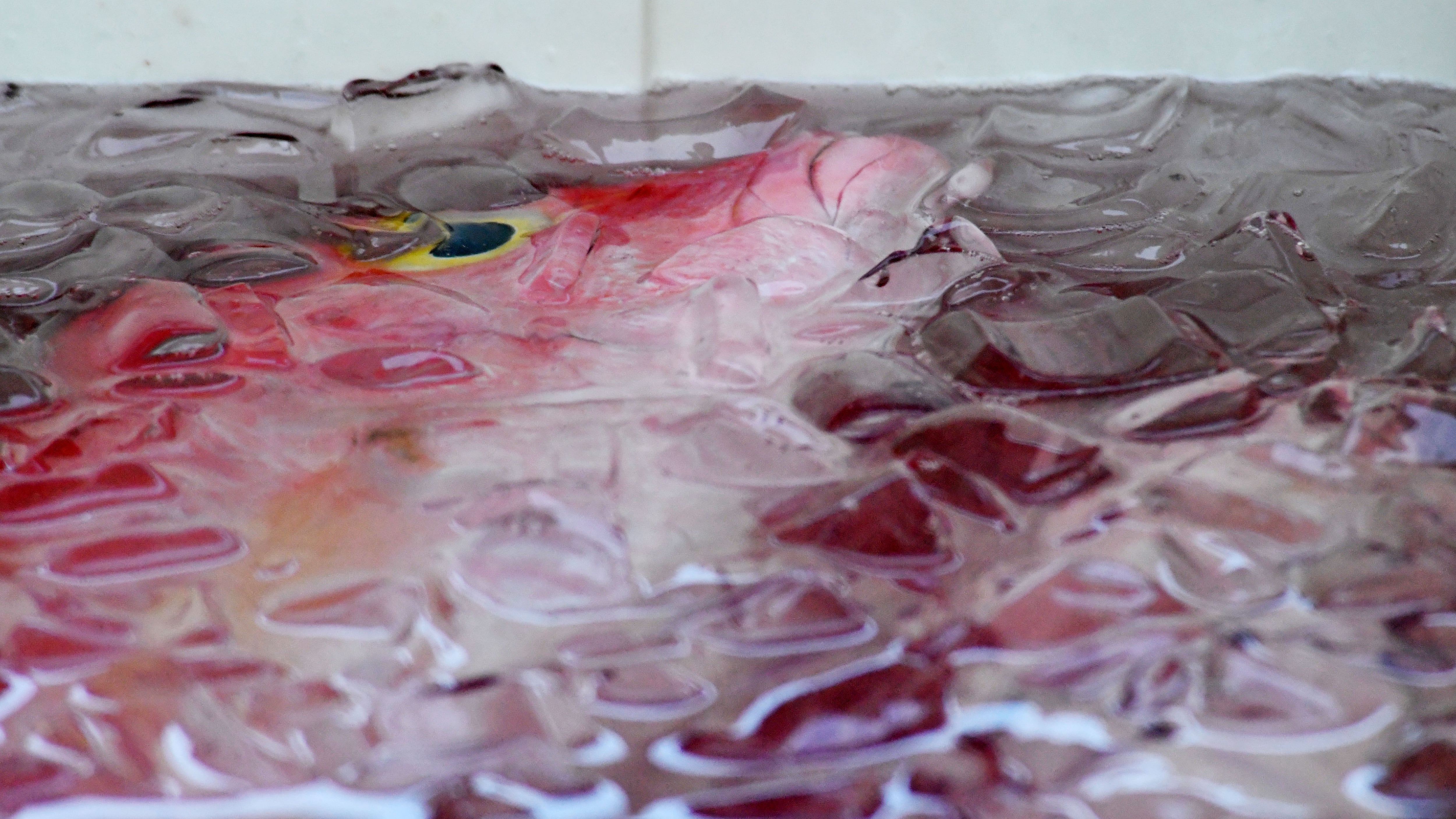 Pescado. Villa Pesquera