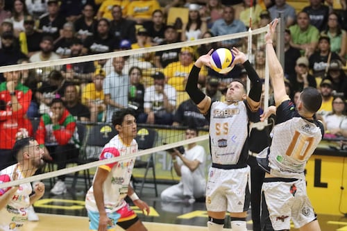 Cafeteros de Yauco se coronan campeones de la LVSM