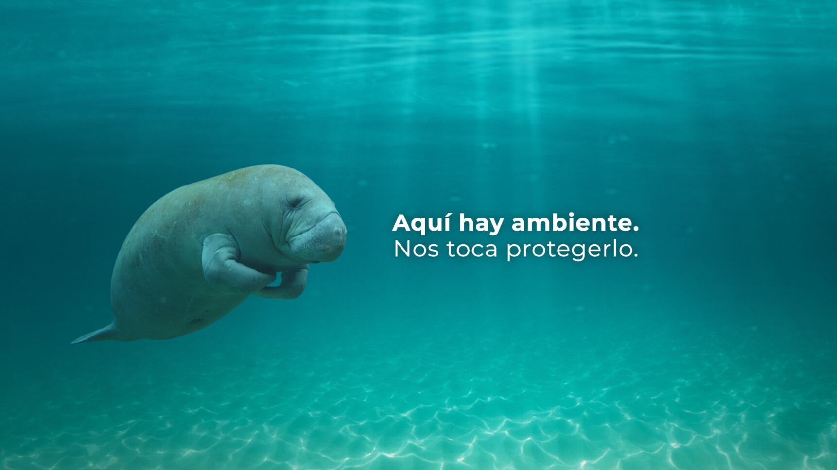 Campaña educativa “Aquí Hay Ambiente para Todos”.