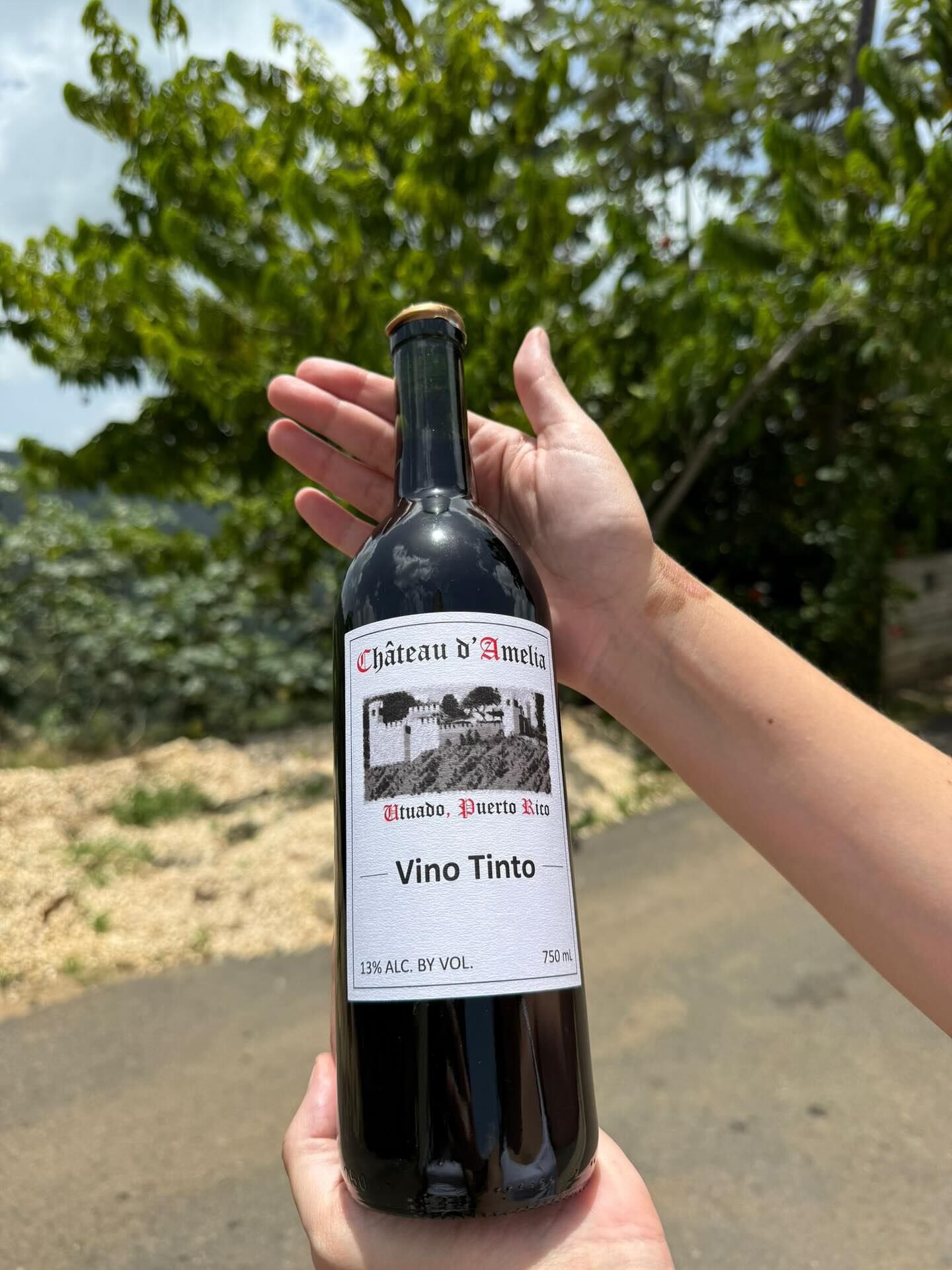 Ofrecen visitas guiadas y recorridos.