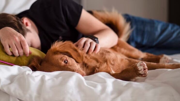 Y ahora da trucos en TikTok de cómo las demás mujeres pueden hacerlo