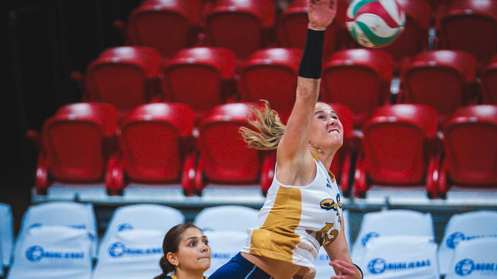 Camelia Meléndez de Santurce.