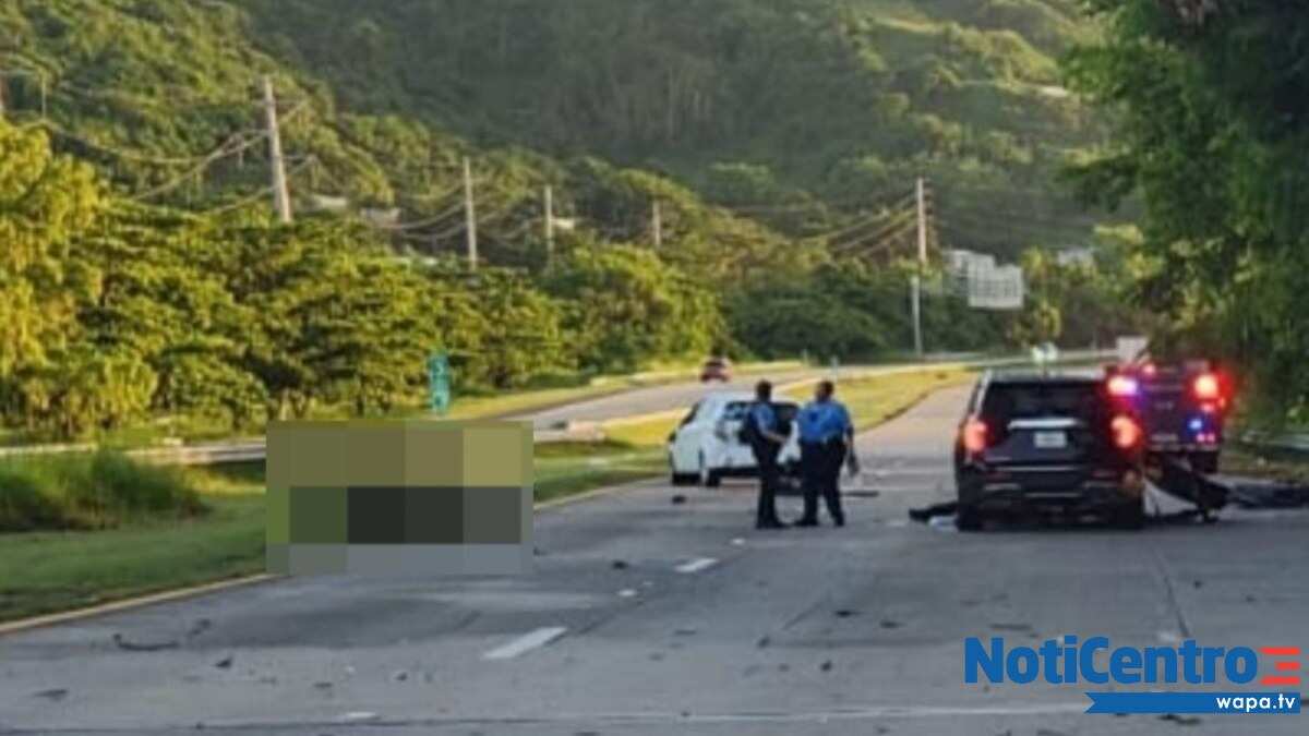 Neumólogo pierde la vida tras accidente con ganado en la PR-53.