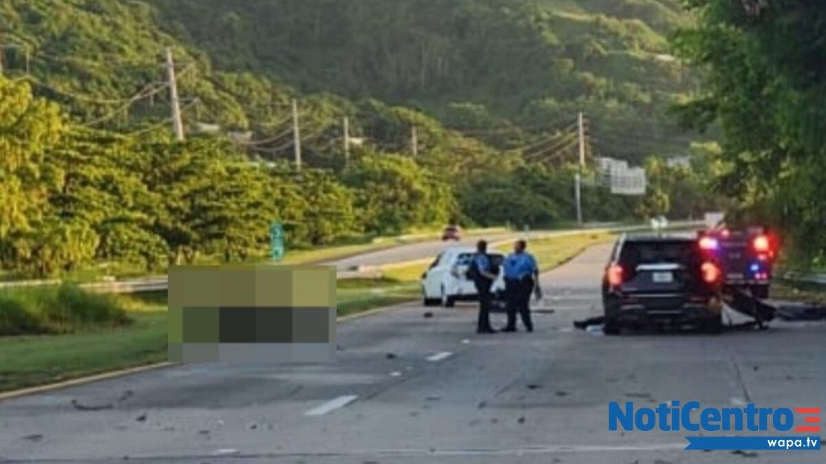 Neumólogo pierde la vida tras accidente con ganado en la PR-53.