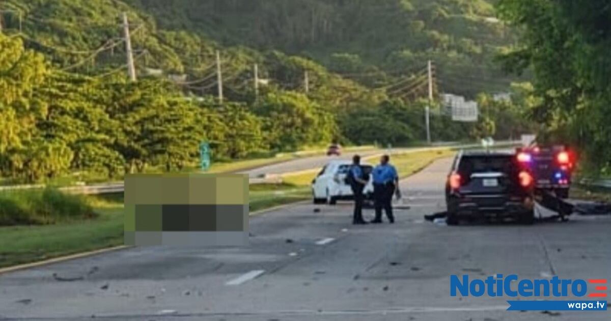 Identifican a doctor que perdió la vida tras accidente con ganado en ...