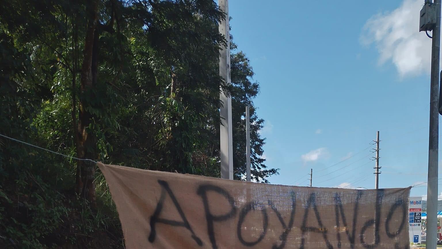 Facebook Finca Los Pellos