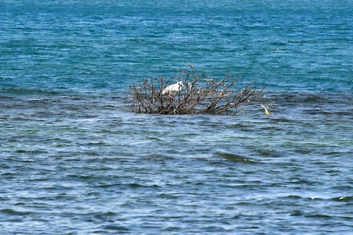 Peligrosas las condiciones marítimas para el último viernes del año