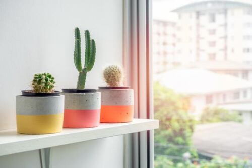 Feng Shui: estos son los colores que atraerán dinero a tu hogar y así puedes aplicarlos