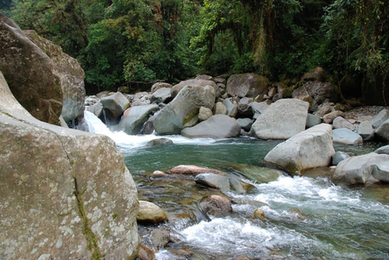 Parque Nacional Tapantí-Macizo de la Muerte