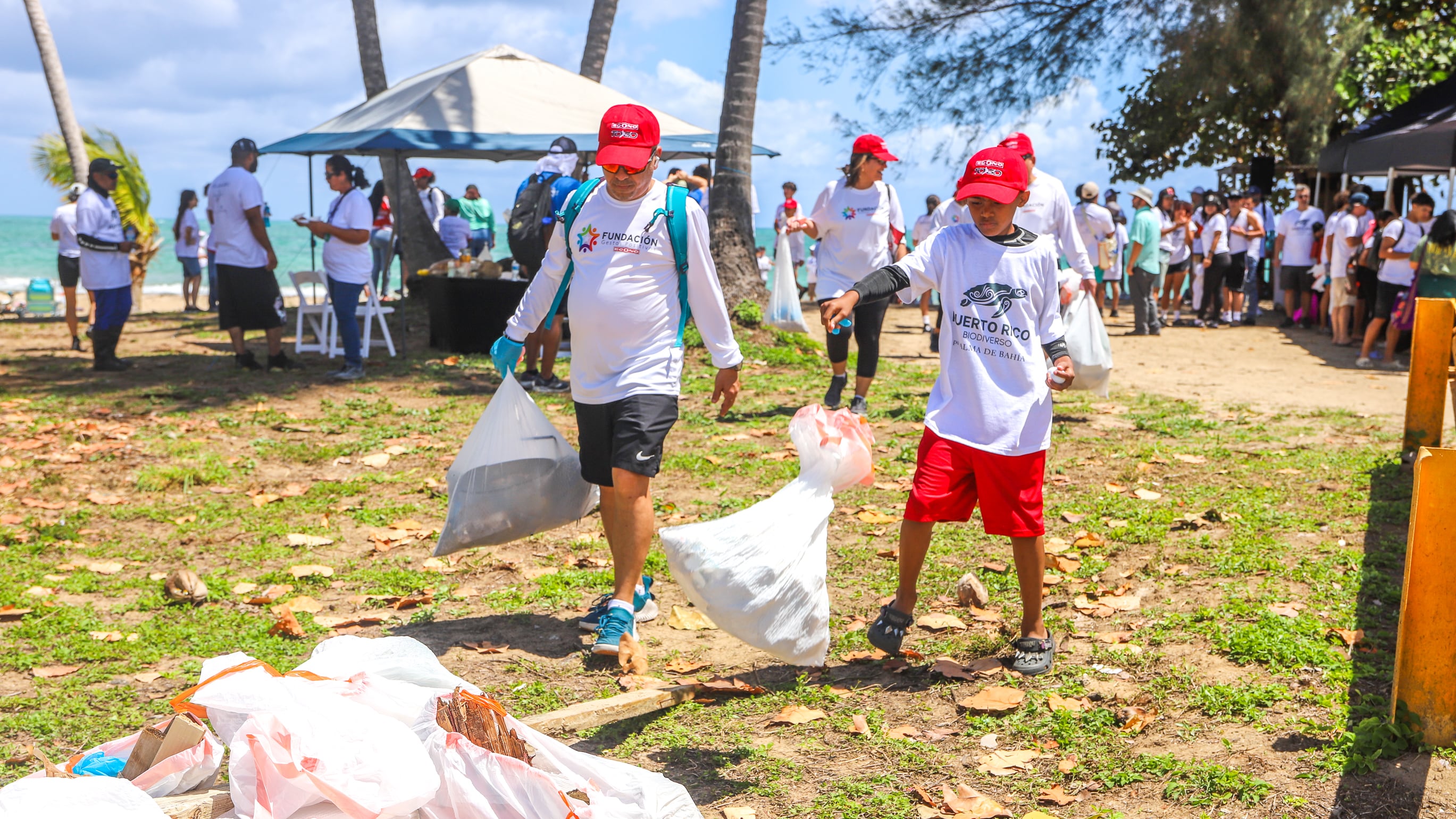 Fundación Alma de Bahía lideró limpieza masiva en Playa Río Herrera como parte de "Puerto Rico Biodiverso"