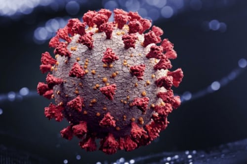 Científicos identifican nueva variante de COVID que mezcla delta y ómicron