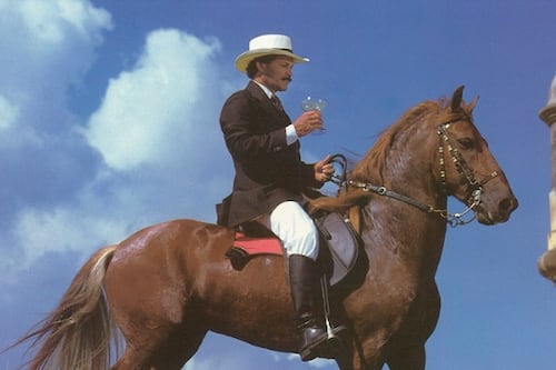 Arecibo acoge el 36° Campeonato Internacional de Caballos de Paso Fino