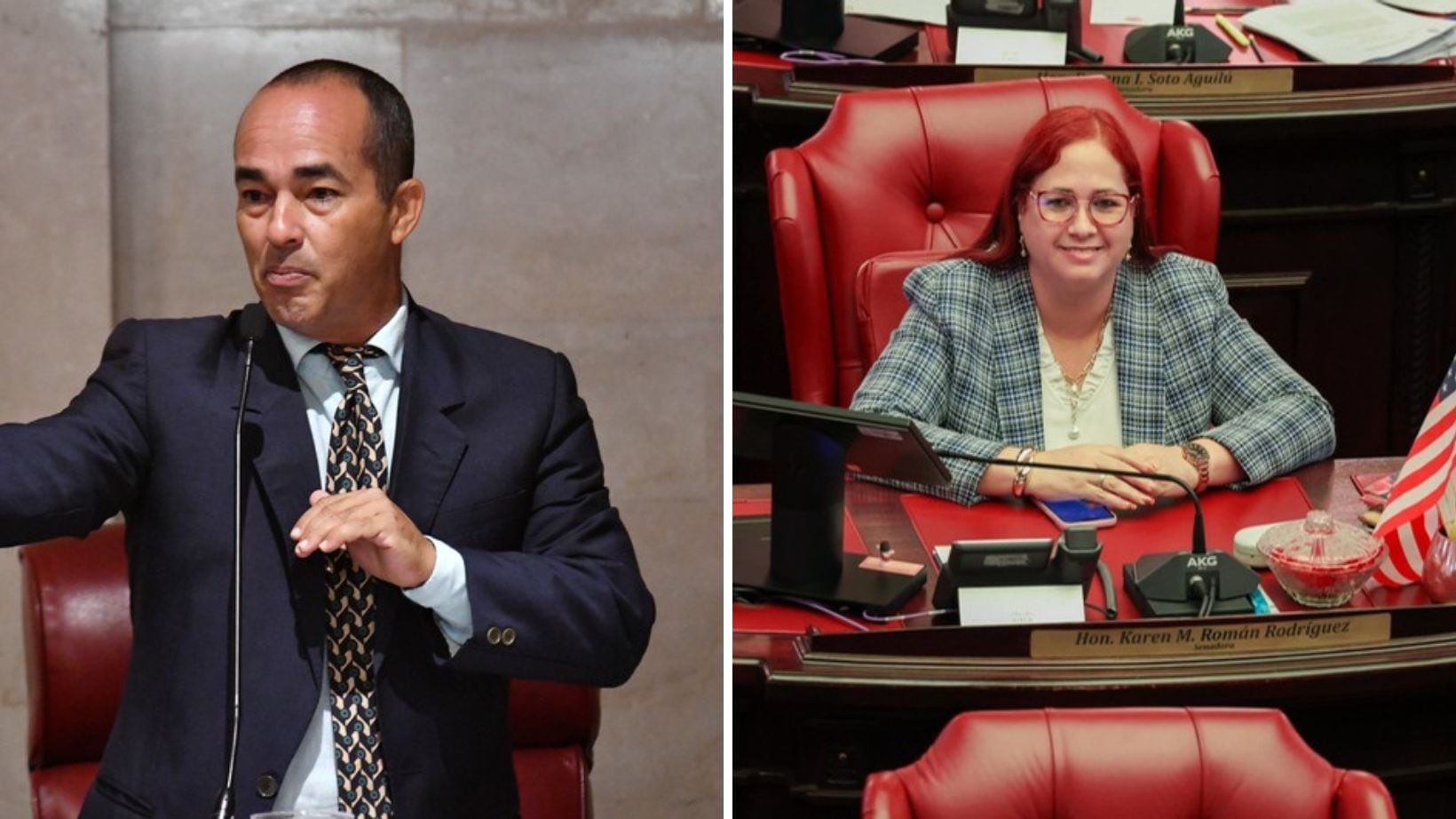 El senador reaccionó a un audio de la senadora.