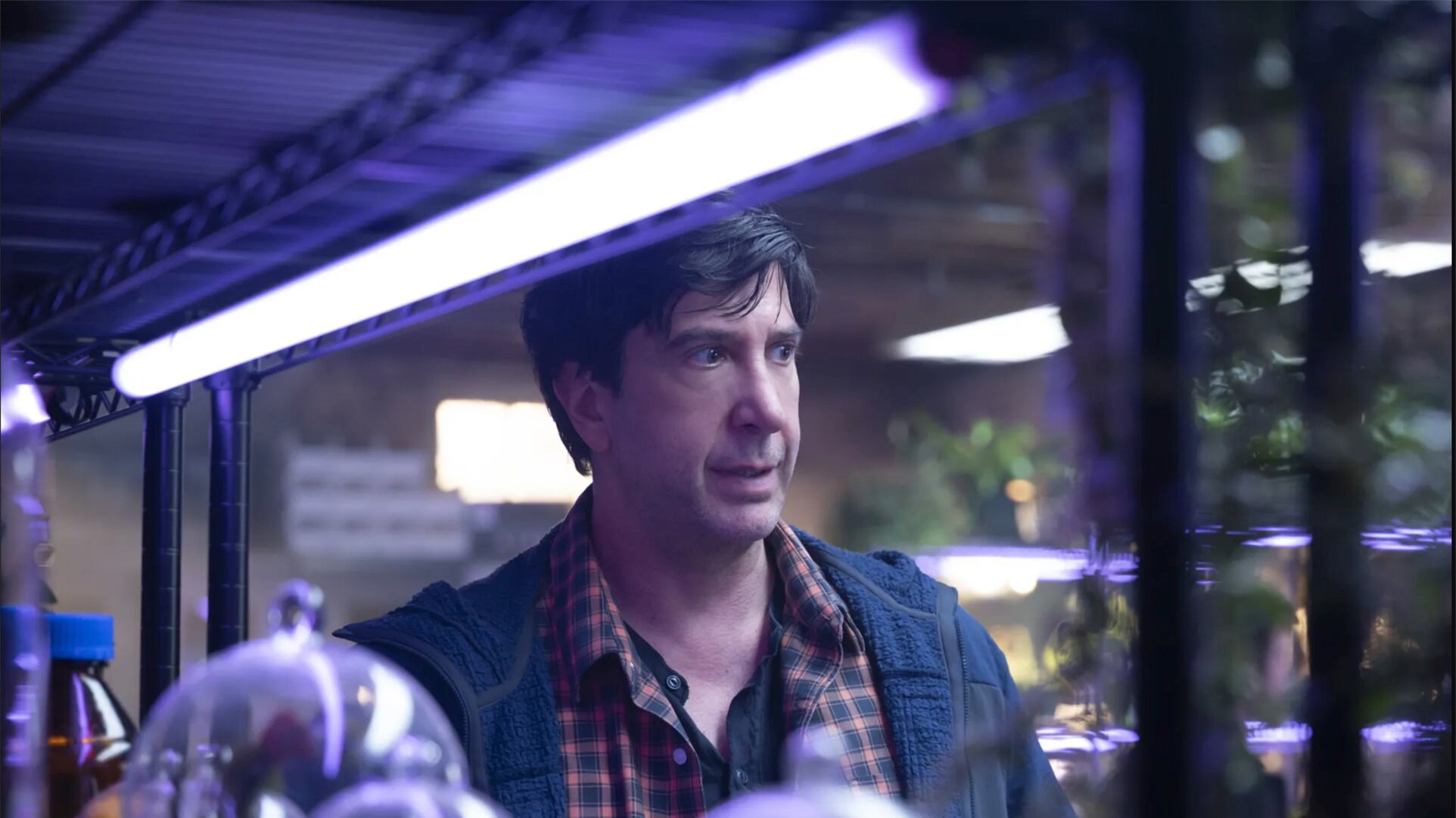David Schwimmer