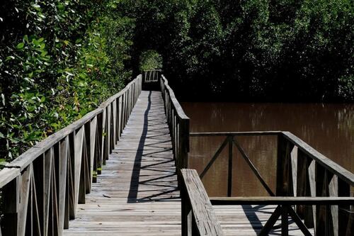 Recursos Naturales anuncia apertura de algunas áreas naturales y reservas