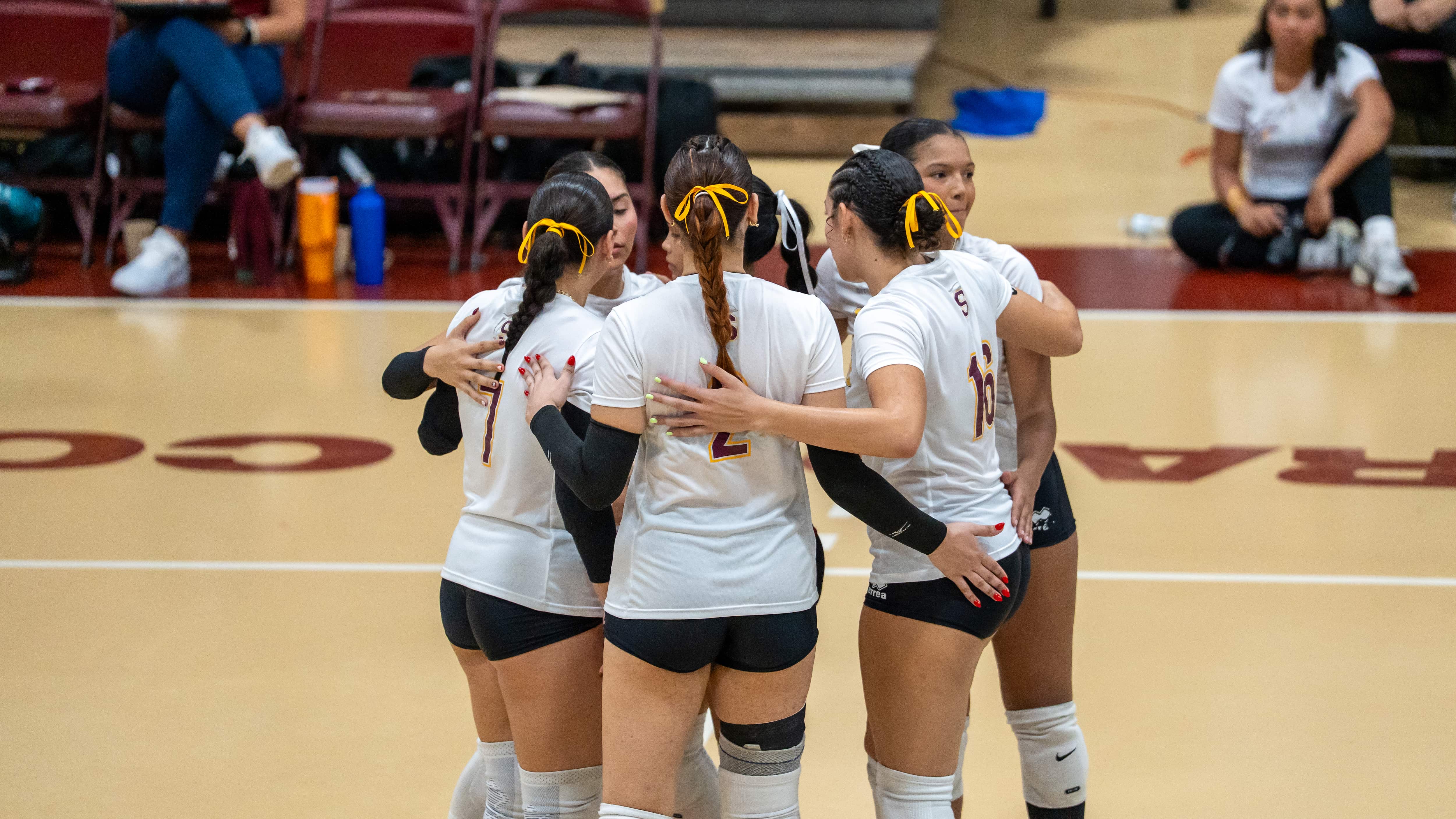 Delfinas de la Universidad del Sagrado Corazón