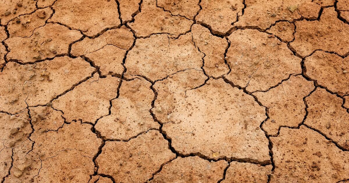 Nueva York declara alerta por sequía y pide a residentes conservar agua – Metro Puerto Rico