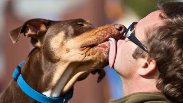 El mejor amigo del ser humano siempre será un perro.