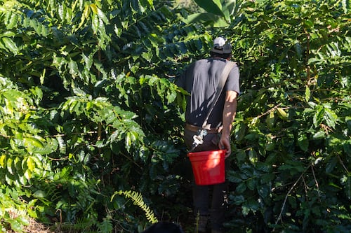 Evalúan enmendar el Proceso de Permisos para los agricultores