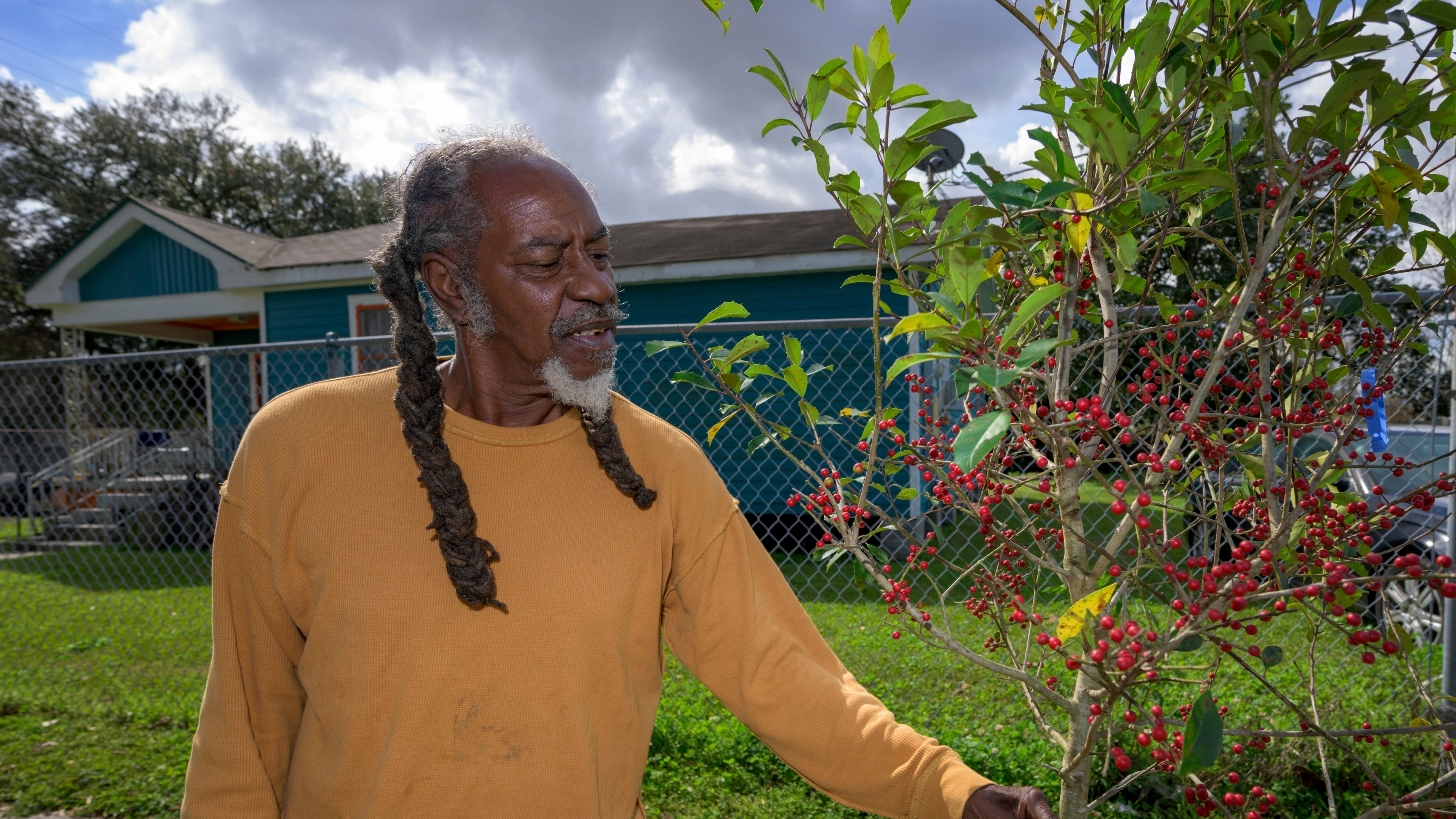Servicio Forestal de Estados Unidos cancela millones destinados a plantar árboles