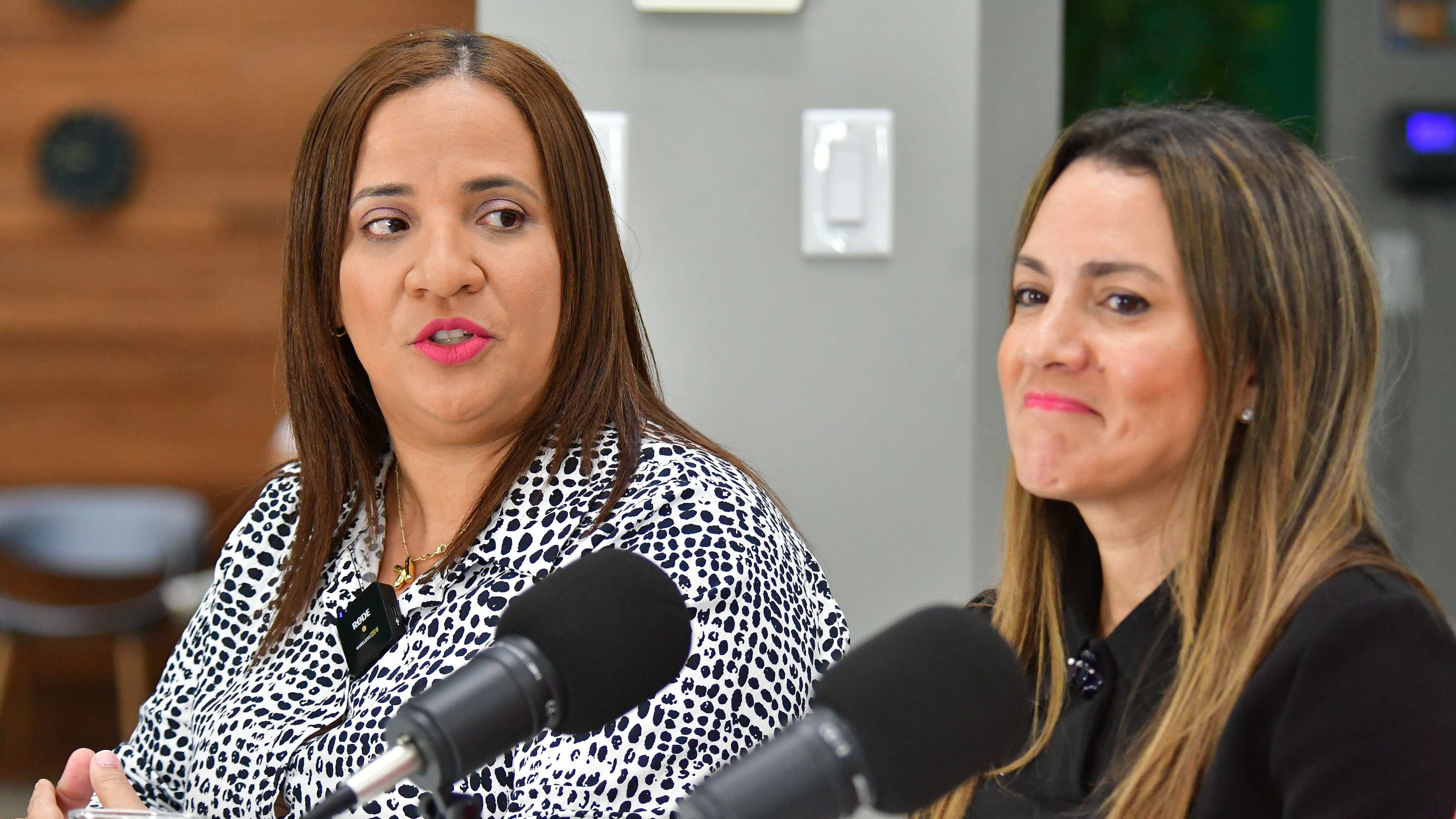 La Comisionada Electoral PPD, Karla Anglero. Metro Puerto Rico