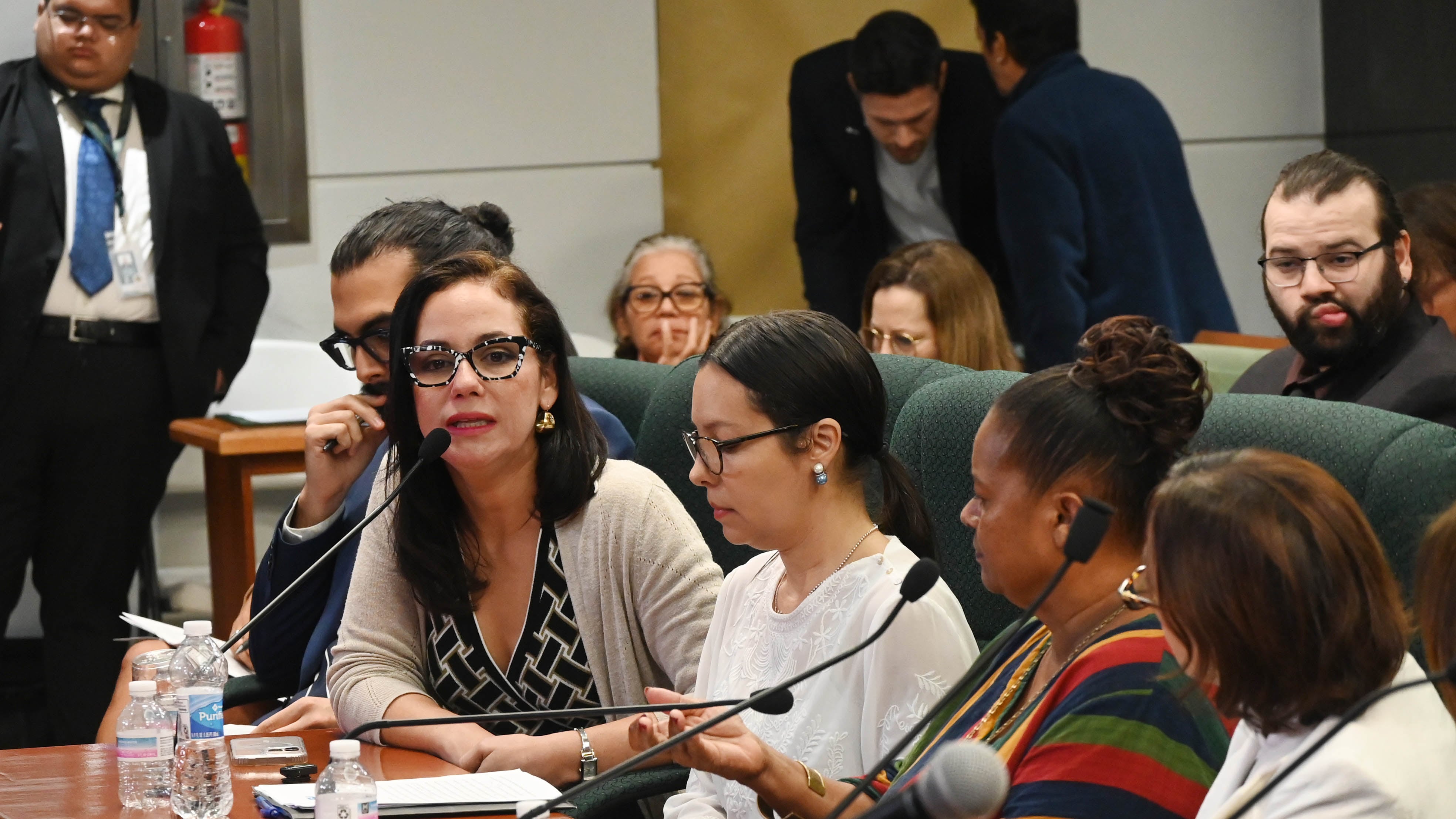 La directora ejecutiva de la ACLU de Puerto Rico , la lcda. Annette Martínez Orabona, depone en la Vista Pública del PS63 , Comisión de lo Jurídico, presidida por J